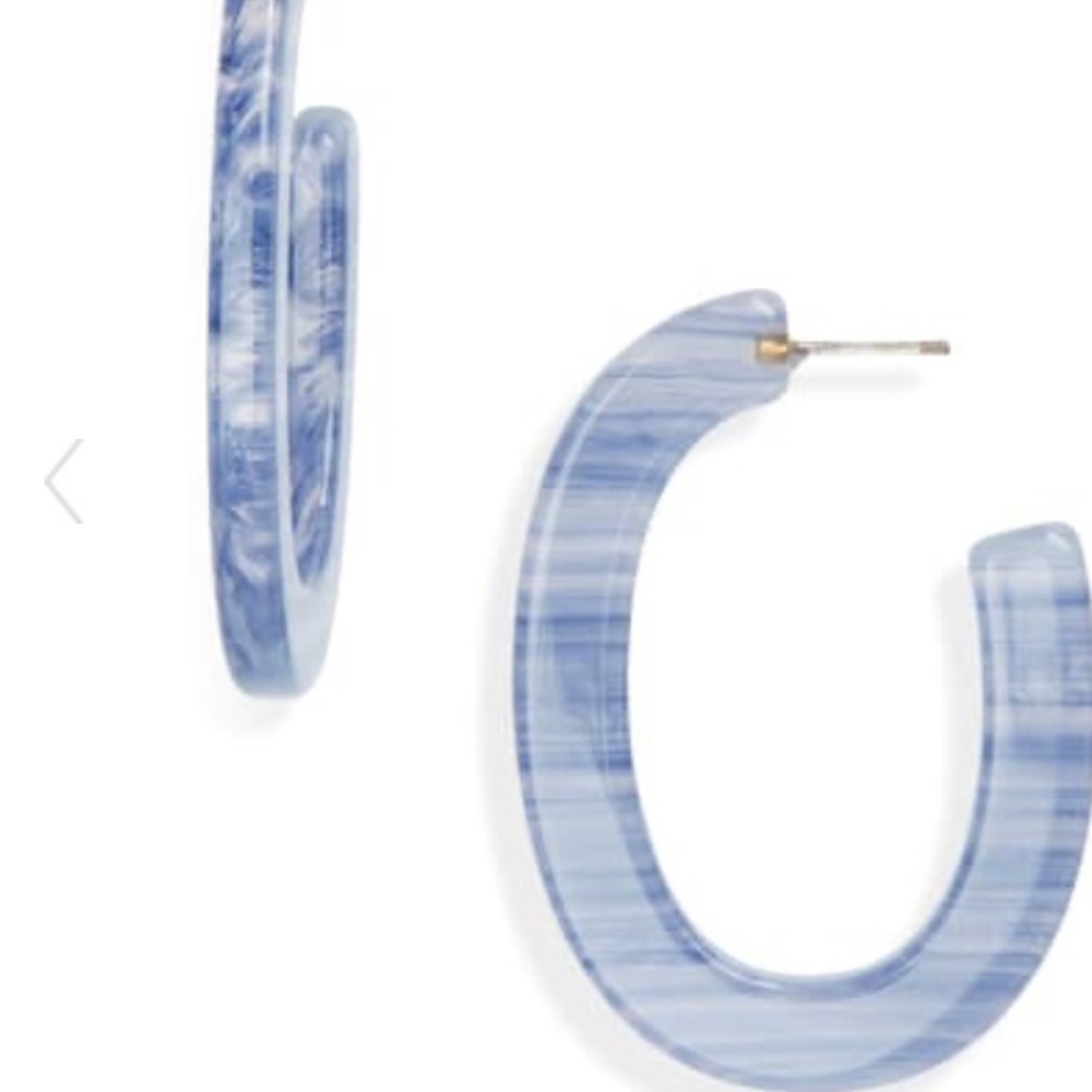 NWT Madewell Resin Oval Hoop Earrings